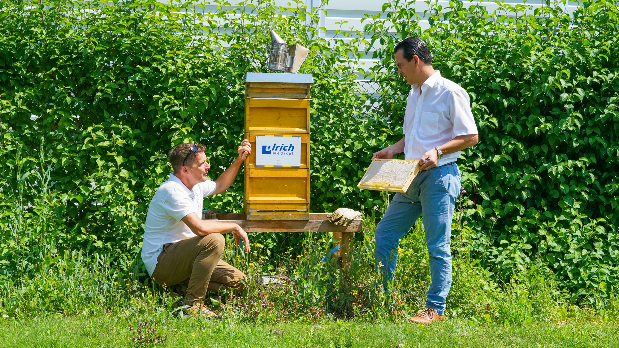 Der ulrich medical-Bienenstock steht im unternehmenseigenen Garten