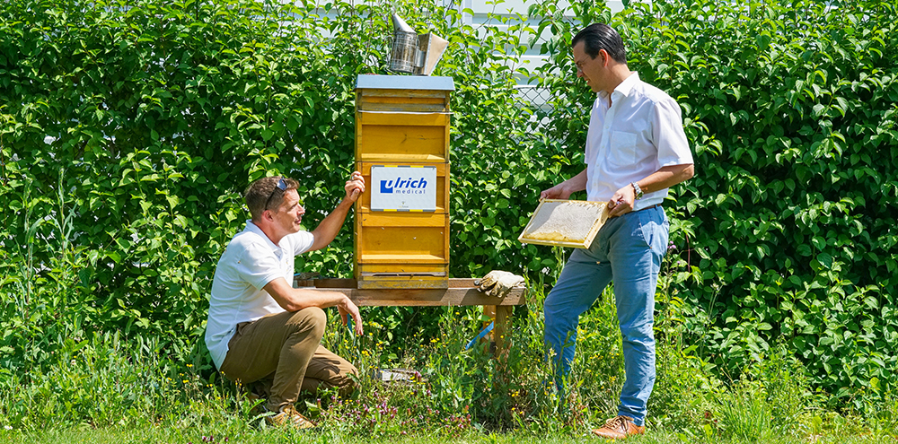 ulrich medical Bienen für ökologische Nachhaltigkeit